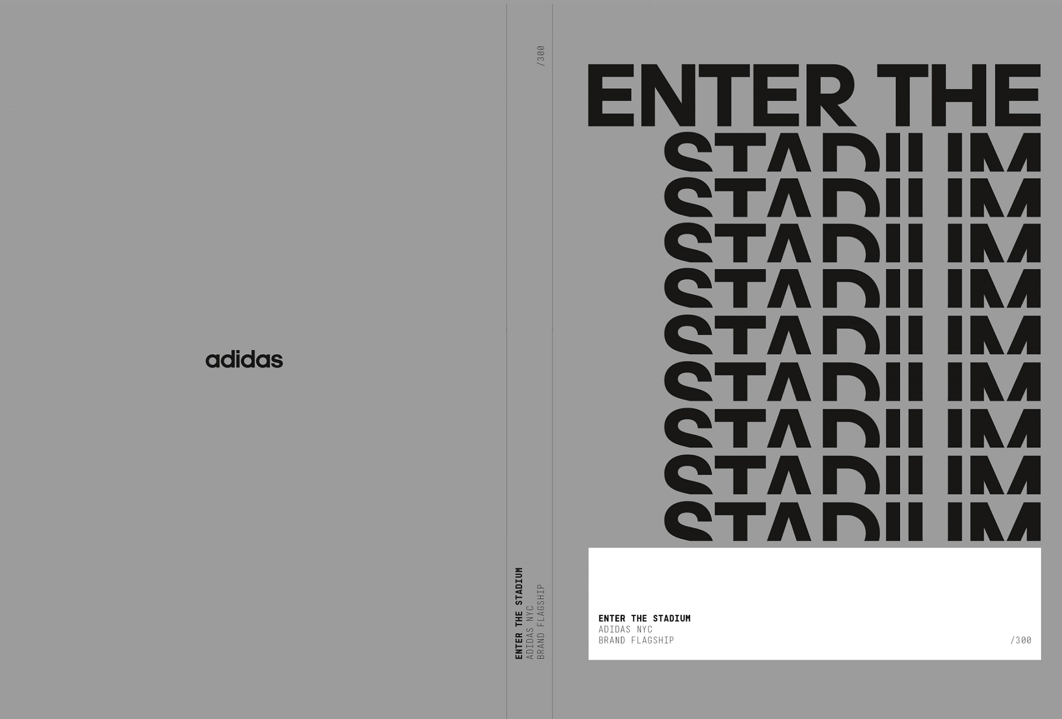 stadium-book-1